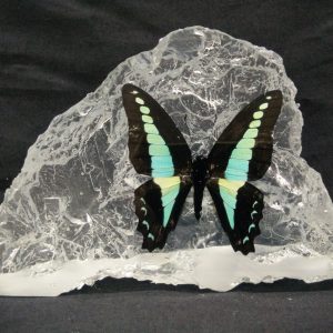 HILL SHAPE BLUE BOTTLE HILL SHAPE BLUE BOTTLE