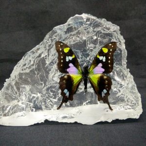 HILL SHAPE BLUE WEISKEI HILL SHAPE BLUE WEISKEI