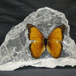 HILL SHAPE MALAY YEOMAN HILL SHAPE MALAY YEOMAN