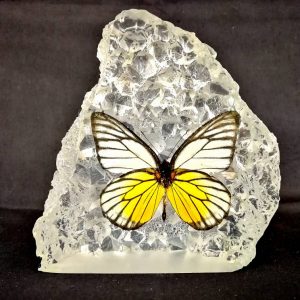 IMG-20180612-WA0064 IMG-20180612-WA0064