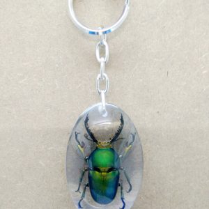 KEY CHAIN OVAL SHAPE LAMPRIMA STAG 1