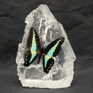 MOUTAIN SHAPE BLUE BOTTLE