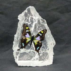 MOUTAIN SHAPE BLUE WEISKEI