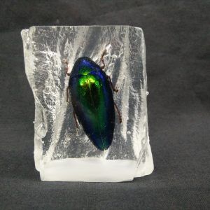 Rattan shape Thai Round Buquetii