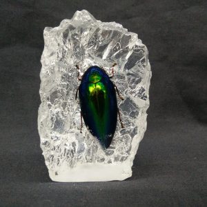 Small island shape Thai Round Buquetii