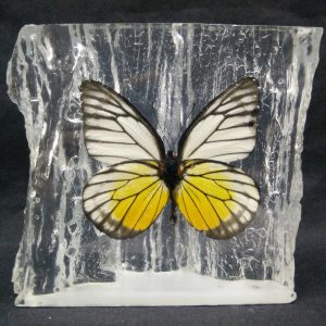 WOOD SHAPE RED SPOT SAWTOOTH