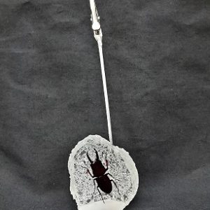 Memo clip Black Stag 1