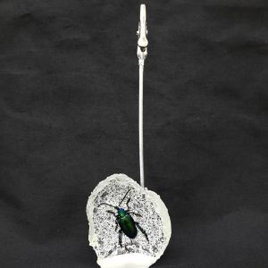 Memo clip Green Sagra 1