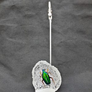 Memo clip Yellow Leg Ctn 1