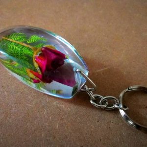 IMG-20180608-WA0066 IMG-20180608-WA0066