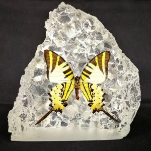 IMG-20180612-WA0057 IMG-20180612-WA0057