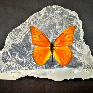 IMG-20180612-WA0089 IMG-20180612-WA0089