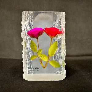 IMG-20180612-WA0101 IMG-20180612-WA0101